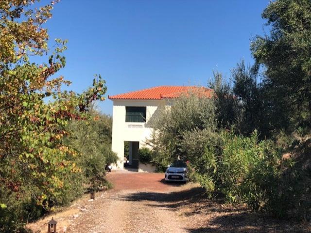 Kyparissia De Wandelboom Villa Vrises  Kültér fotó
