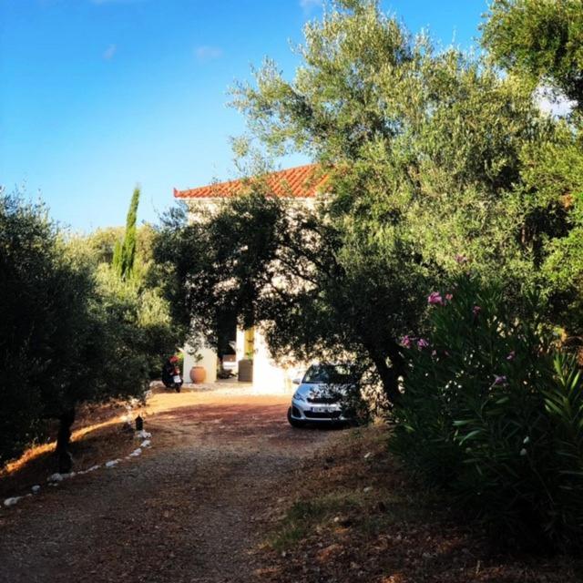 Kyparissia De Wandelboom Villa Vrises  Kültér fotó