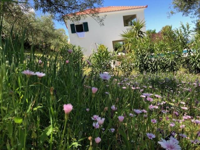 Kyparissia De Wandelboom Villa Vrises  Kültér fotó