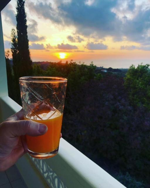 Kyparissia De Wandelboom Villa Vrises  Kültér fotó