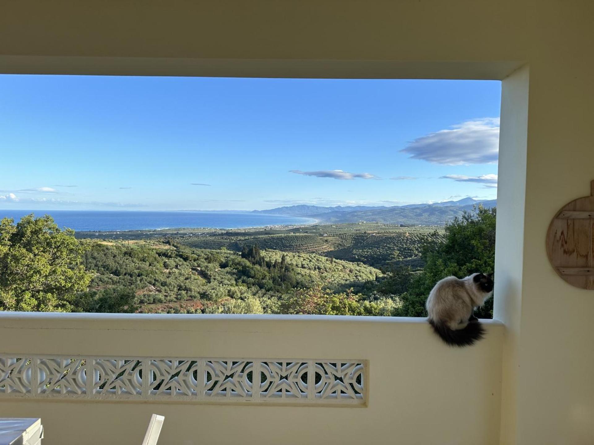 Kyparissia De Wandelboom Villa Vrises  Kültér fotó