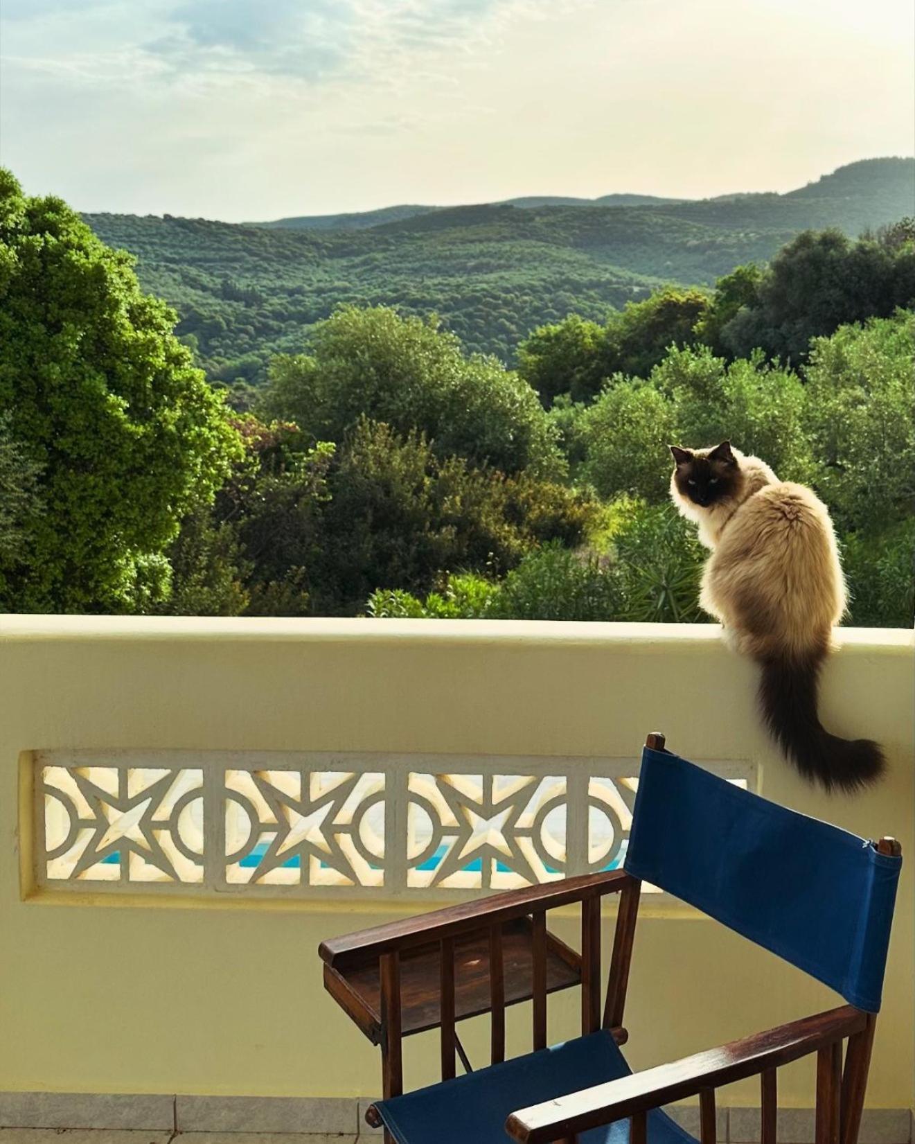 Kyparissia De Wandelboom Villa Vrises  Kültér fotó